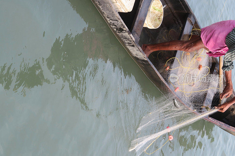 印度南部喀拉拉邦Kollam的渔民在小木渔船上，斜靠在白色尼龙渔网上，为海鲜市场捕捉小鱼。渔民穿着传统的粉红色纱笼/杜蒂捕鱼
